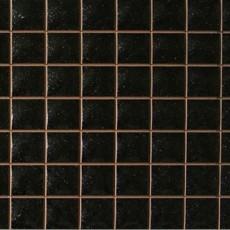 웨이비니그로(검정)17장